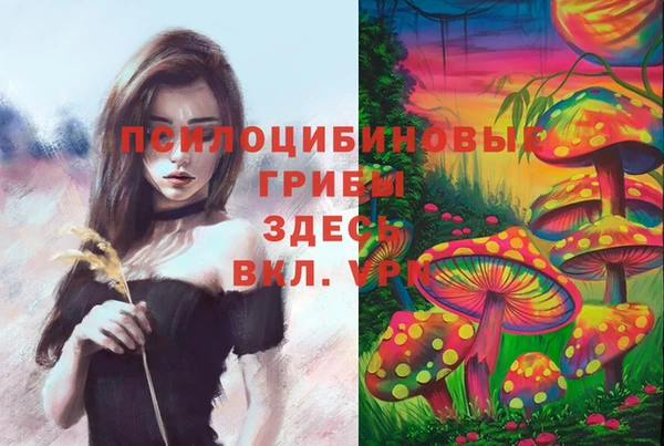 таблы Майский